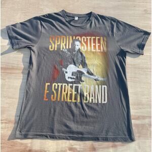 VTG. 2014 BRUCE SPRINGSTEEN E STREET BAND Concert Tour (LG) Shirt Men's Gray USA